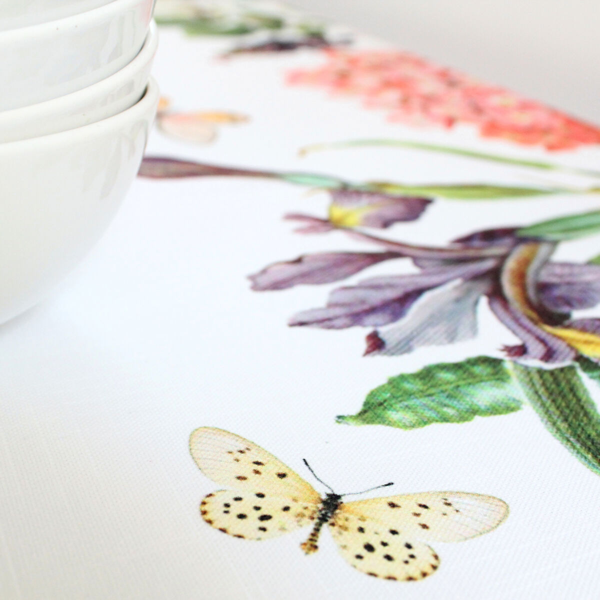 8420001010730_D1608818_P31