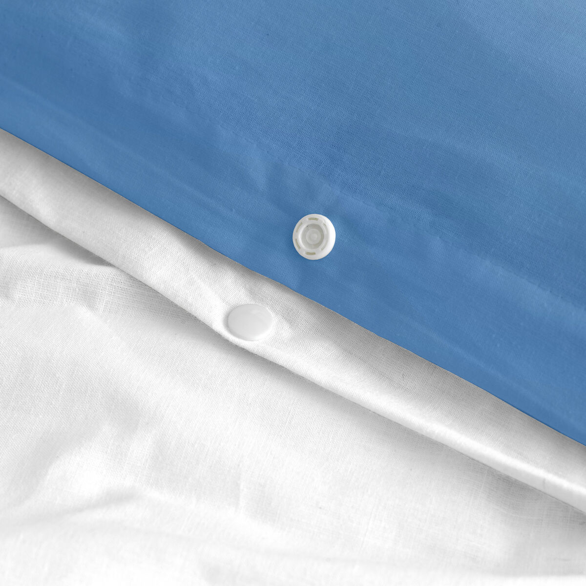 8420001146316_D1609487_P51